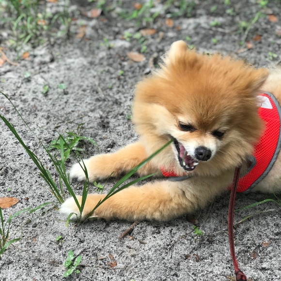 Meet your Posher! 🙋🏻♀️ - Picture 6 of 11